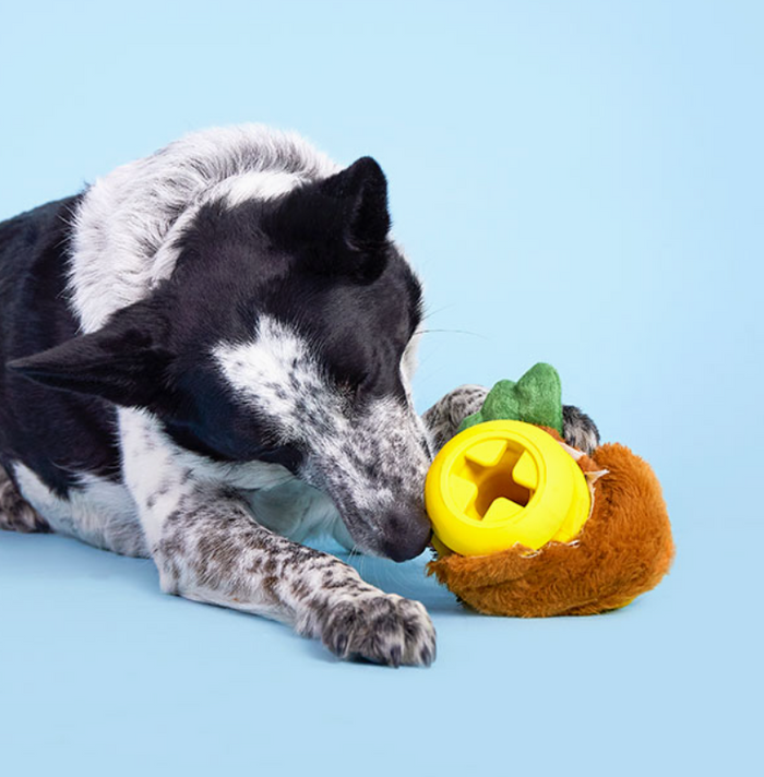 A black and white dog lies on a light blue background, chewing on a plush Fowl Play toy with the bright yellow treat dispenser center exposed.