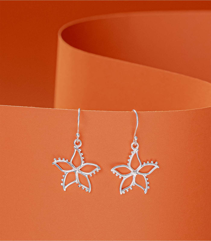 Classic Star Outlined Earrings (Silver)