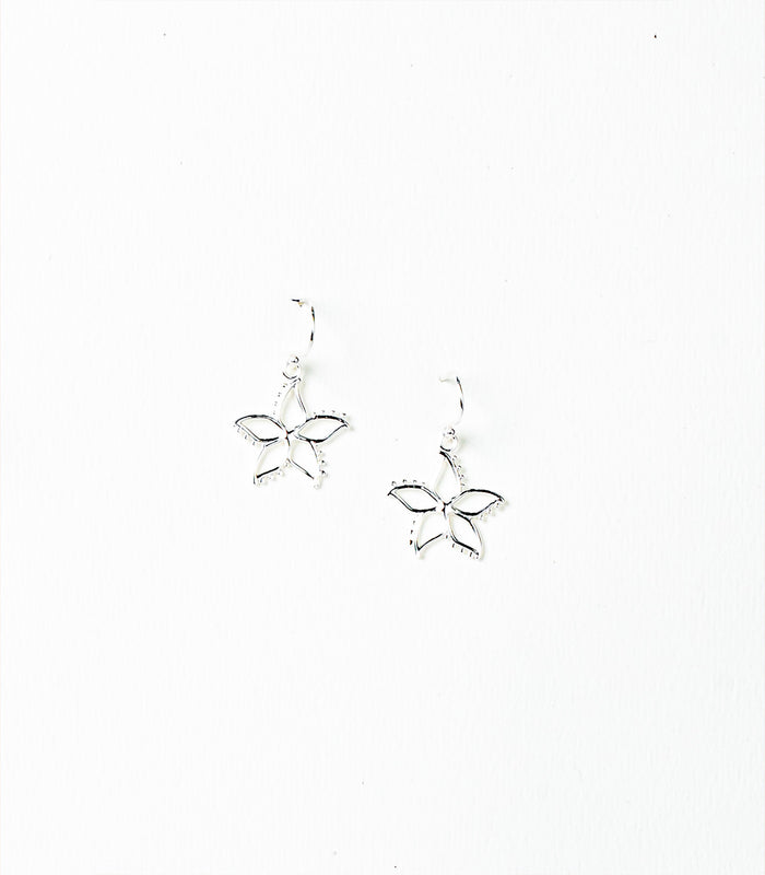 Classic Star Outlined Earrings (Silver)