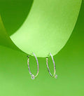 Crystal Hoops  Earrings (Silver)