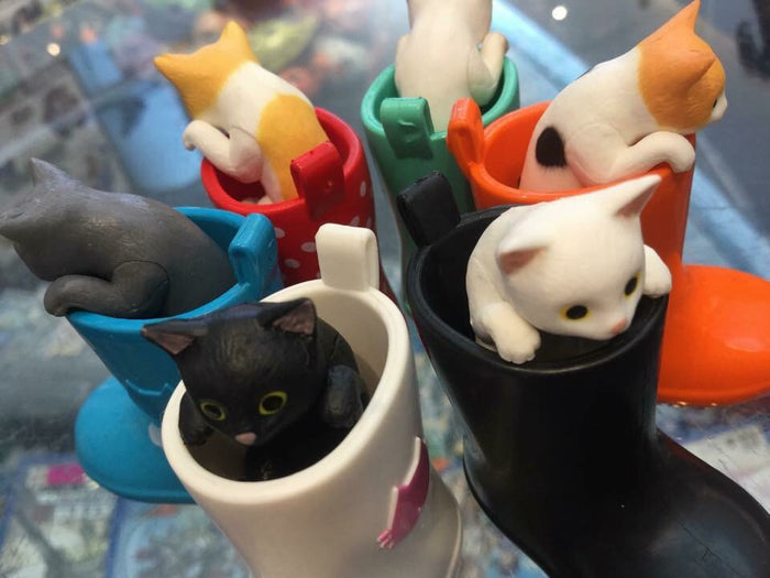 Kittens in the Rainboots #2