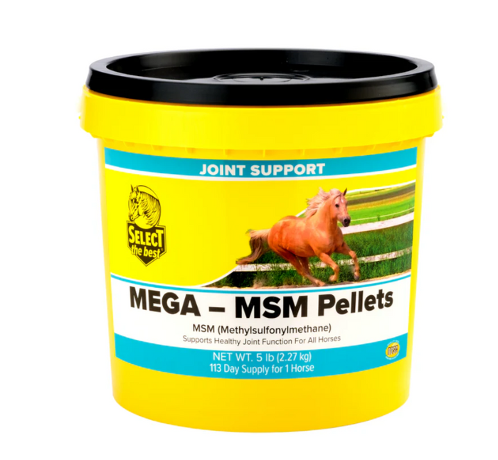 Yellow container of Mega MSM Pellets for joint support with a horse on the label.