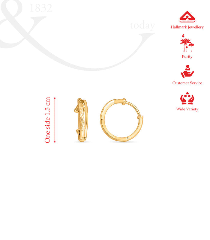Radiant Hoops Gold Earrings