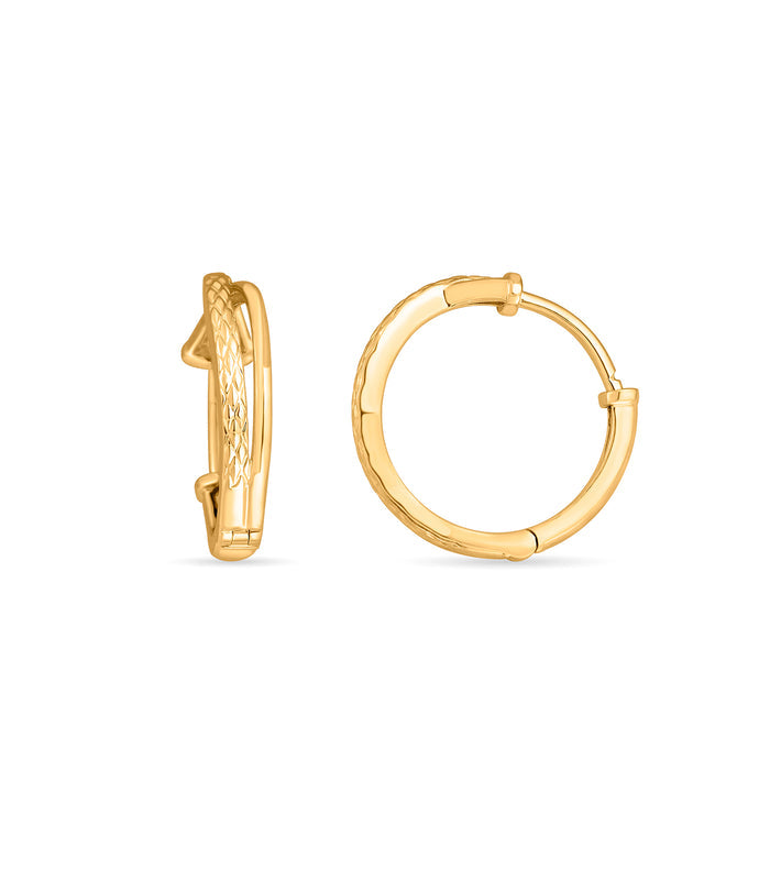 Radiant Hoops Gold Earrings