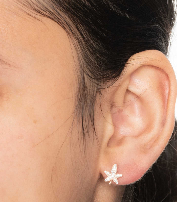 Star Shaped Earrings (Silver)