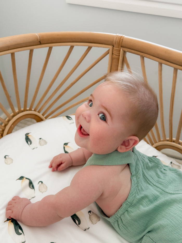 Waterproof Bassinet Fitted Sheet - Crosby